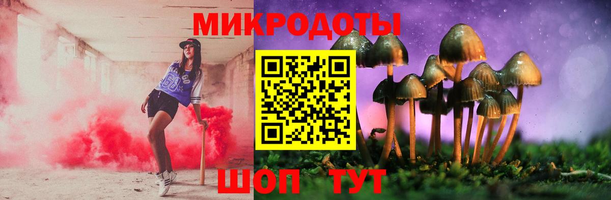 Ртищево  Галлюциногенные грибы MAGIC MUSHROOMS  Вход с VPN 